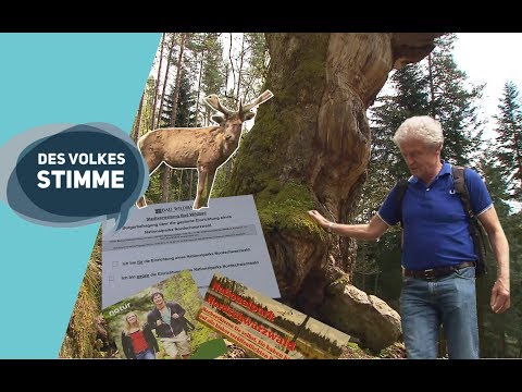 Des Volkes Stimme | Der Streit um den Nationalpark - die Bürgerbefragung im Nordschwarzwald